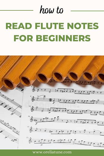 How To Read Flute Notes For Beginners