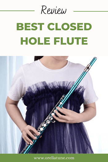 Best Closed Hole Flute