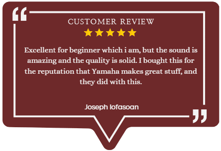 YAMAHA NP12 61-Key Lightweight Portable Keyboard customer review